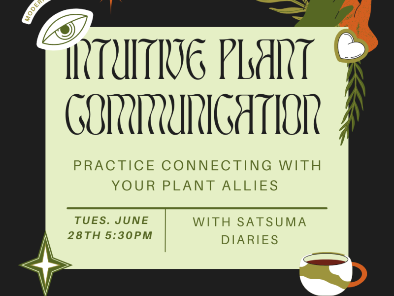 Intuitive Plant Communication